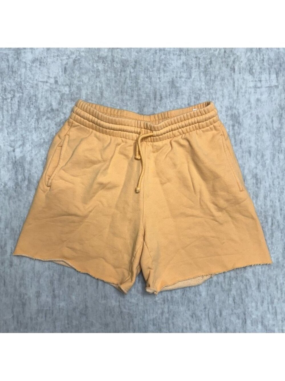 Aritzia TNA Sweatshorts